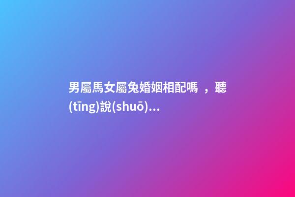 男屬馬女屬兔婚姻相配嗎，聽(tīng)說(shuō)你和蛇屬相的人更配哦!甜甜蜜蜜一生-第1張-觀點(diǎn)-玄機(jī)派